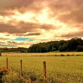 Landscape,old castles,portrait. 
