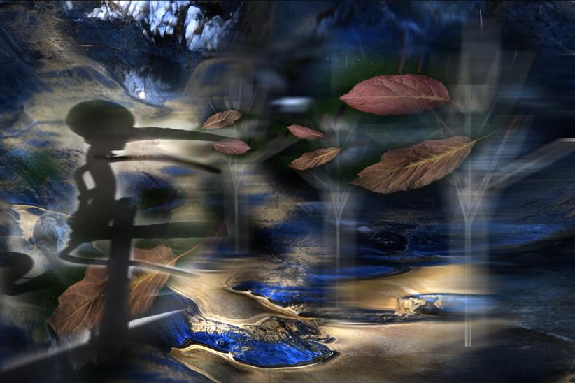 è arrivato l'autunno ????????