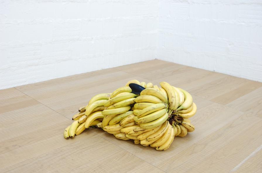 SharkBanana SharkBanana