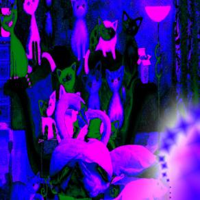 Sei entrato nel mio cuore in punta di piedi e dolcemente te ne sei impadronito !!!!