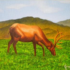 LG 0224 - Il cervo solitario