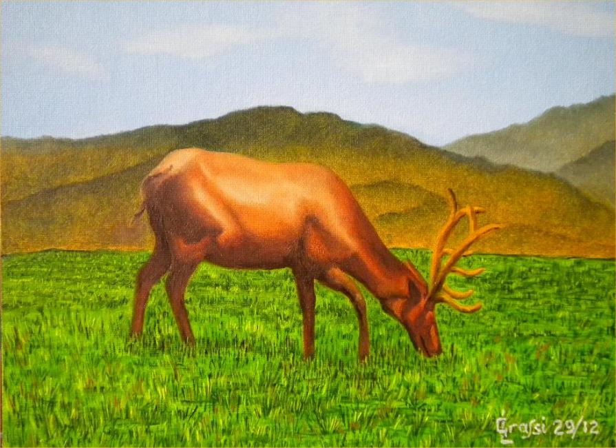 LG 0224 - Il cervo solitario