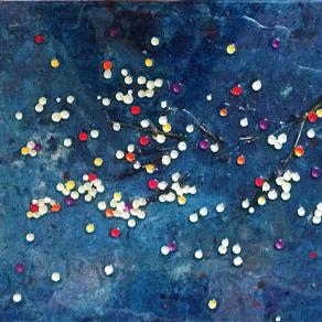 solchi di bacche su plexy