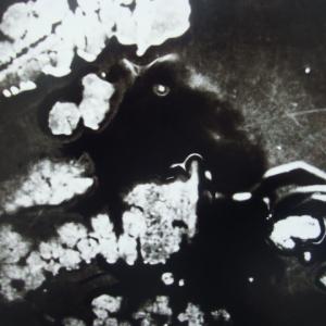 il linguaggio è una pelle il linguaggio è una pelle