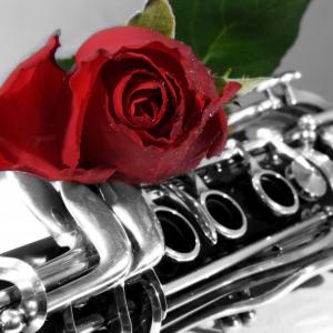 una rosa in inverno una rosa in inverno