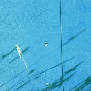 Erba Piegata dal Vento