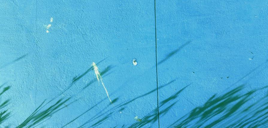 Erba Piegata dal Vento