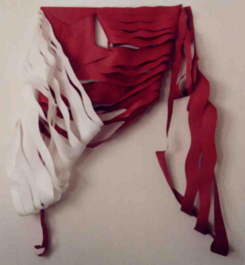 country flag علم البلد