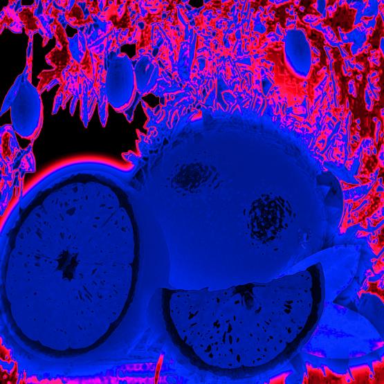 Anima, fatti color d’arancia. Anima, fatti color d’amore.......