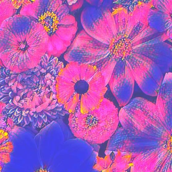 ...La Felicità...╰(*´︶`*)╯(◠ᴥ◕ʋ)