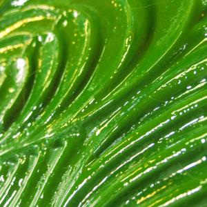 I SAGGI DELLA TERRA I SAGGI DELLA TERRA