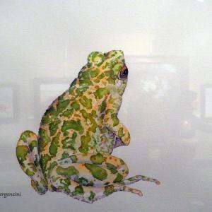 ANIMALS ART al Club La Meridiana di Modena