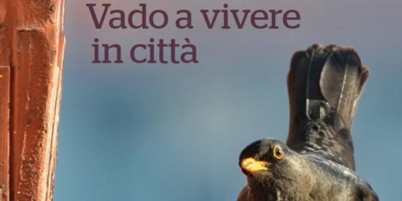 Vado a vivere in città