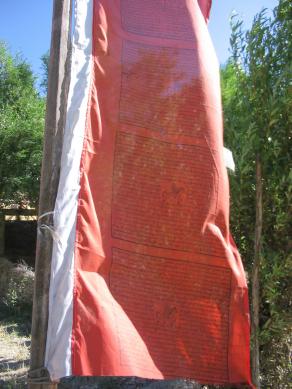 "Sottopelle # 18" Ldk05