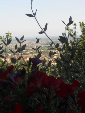 Il borgo degli agrumi