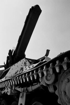 I fantasmi della volpe