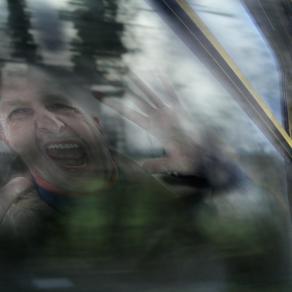 Pecio staccati dal vetro..