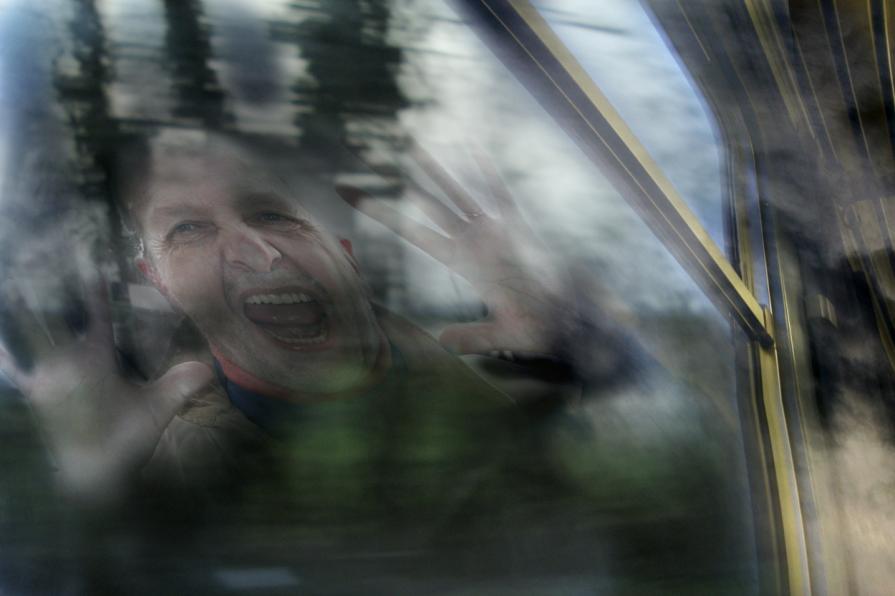 Pecio staccati dal vetro..