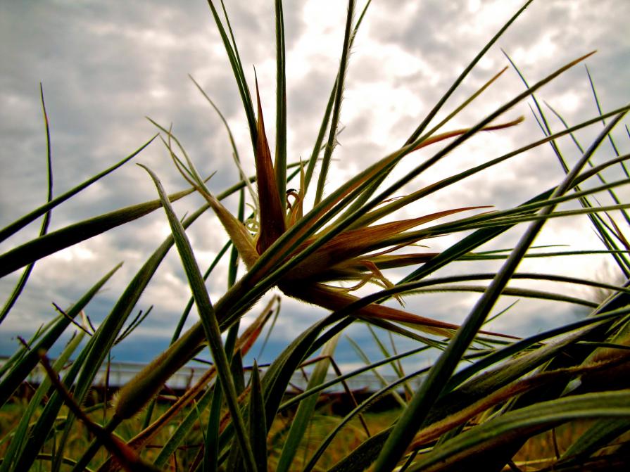 Weathering the Storm