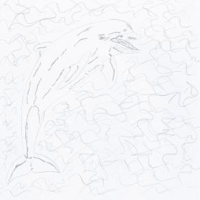 dolphin