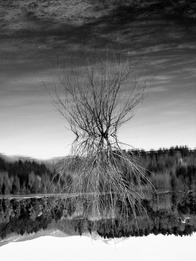 An hypotetic vision of the world An hypotetic vision of the world