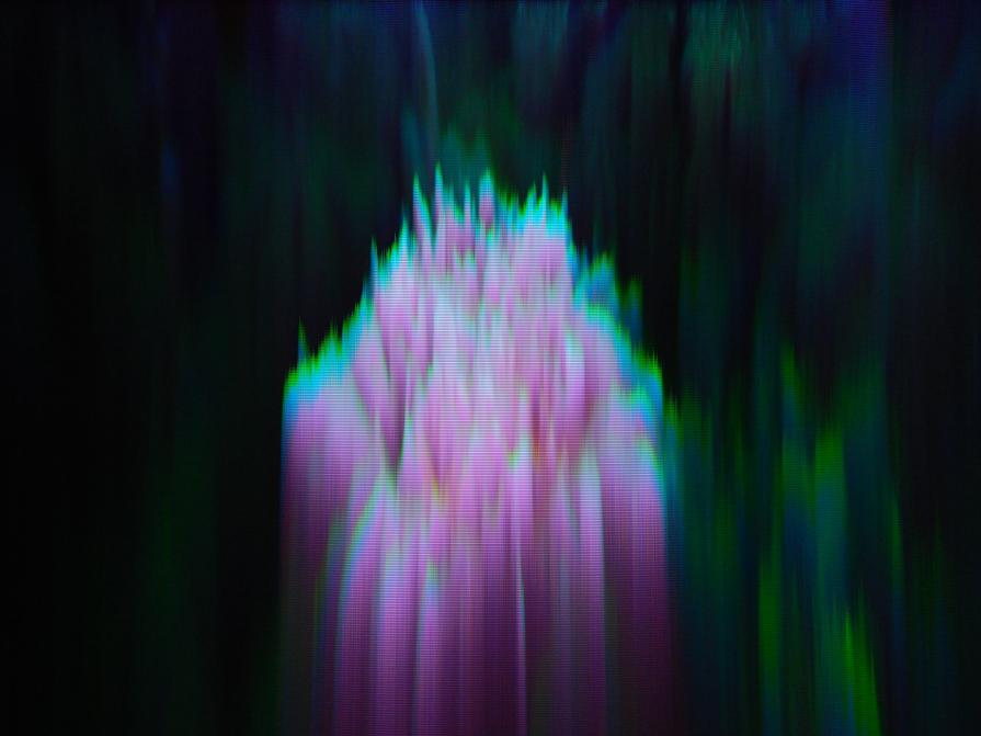 FLower Glitch FLower Glitch