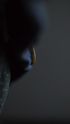 Planète pollution 5