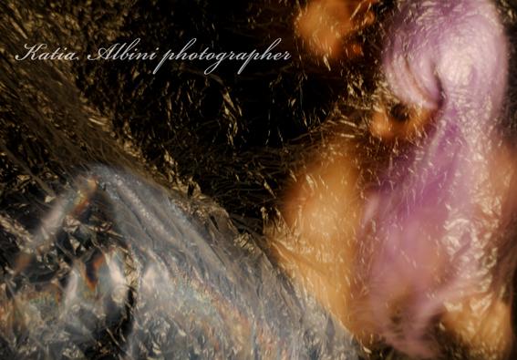 Il canto della sirena