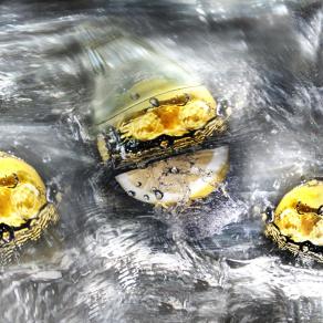 butta il giallooooooooo,non ci si butta con il capello..