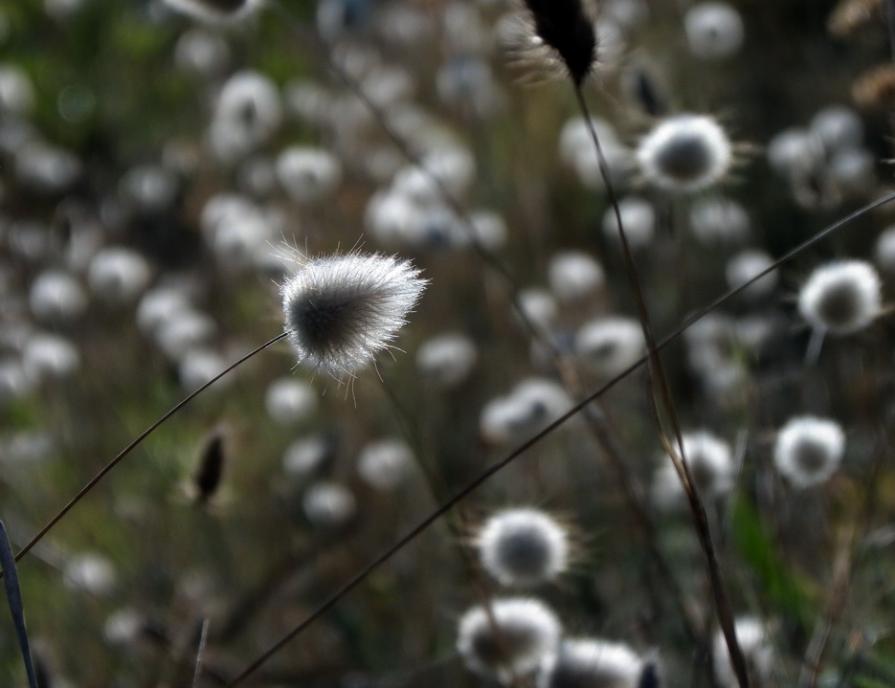 Il mio amico vento, per un attimo, si è assopito 
