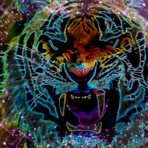 ...AMORE SIGNIFICA LIBERTA' !!!...