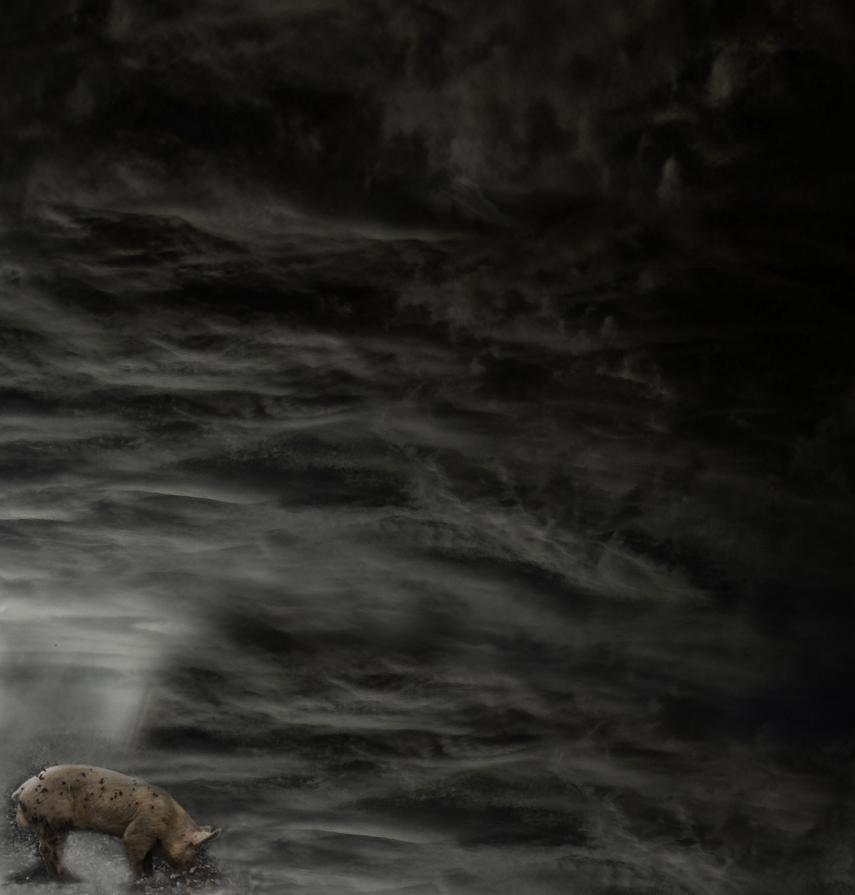 "Il Porcellone" "Il Porcellone"