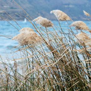Lago di Castel Gandolfo
