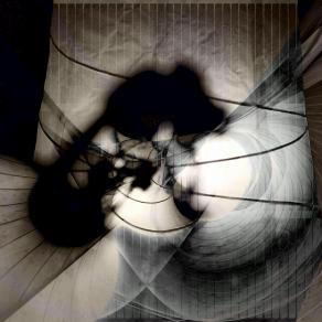 L'ultimo volo del calabrone 