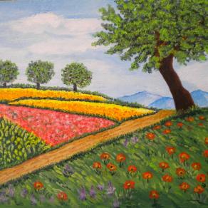 LG 0281 - Collina in fiore