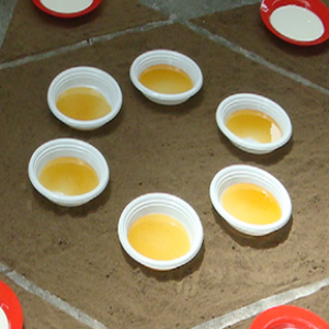 The Land flowing with milk and honey The Land flowing with milk and honey