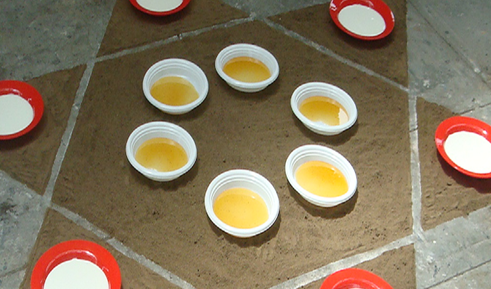 The Land flowing with milk and honey