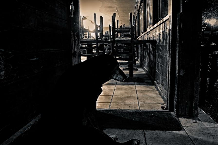 Domani e' un altro giorno   (Tomorrow is another day) 