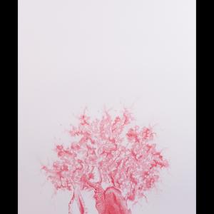 a U L I V O o f R 7 ®