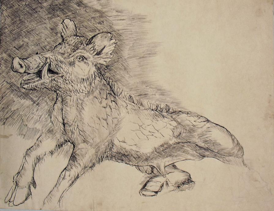 Studio dal vero ai Musei Vaticani 1