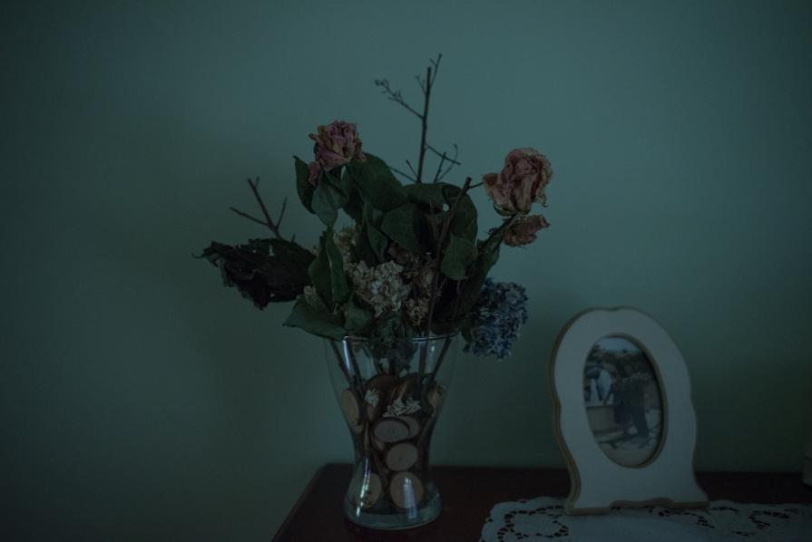 A Sky Full Of Stars For A Roof