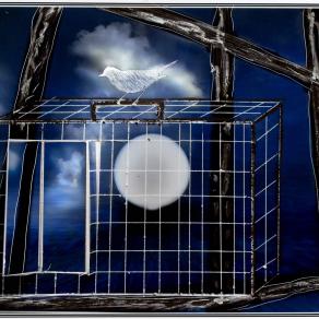 rientrare in gabbia , o scappare da cosa????