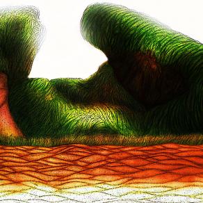 " Sabbia e vegetazione."