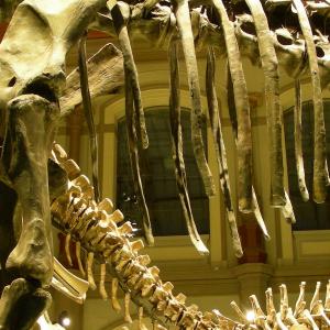 Germany. Berlin. Stories of lines 2