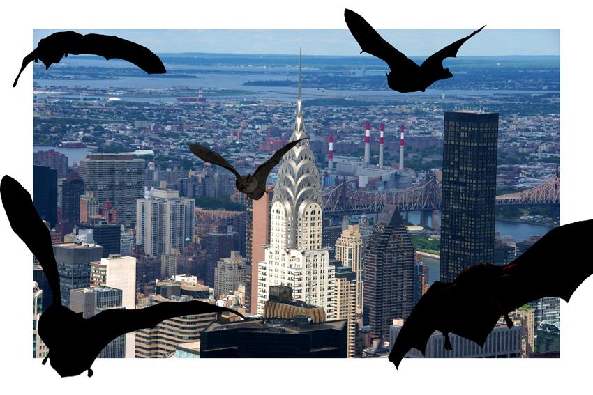 Shanghai Contemporary Art Fair