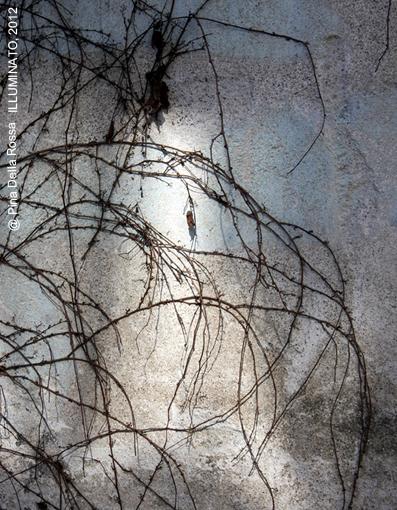 Under the Influence of Fluxus