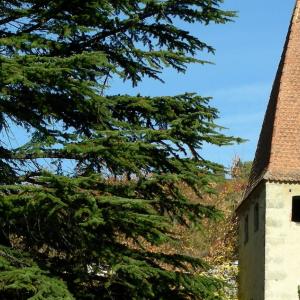 Italy. Trentino Alto Adige. Autumn colors