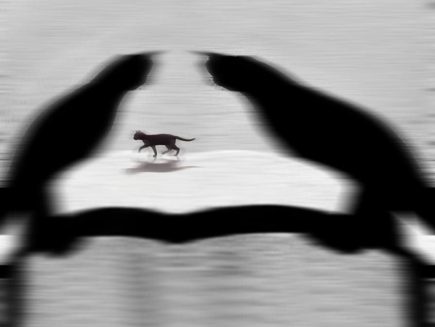 trisssss d'amore....