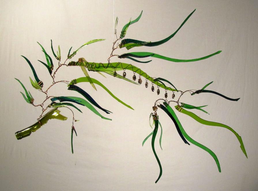 Leafy Sea Dragon Leafy Sea Dragon