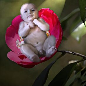 Nativity (Series: fantasy of my son)